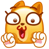 😺