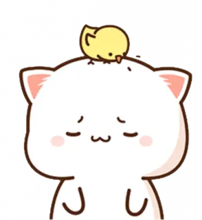 🐥 chat, poussin, animal, mignon, kawaii, autocollant whatsapp sticker