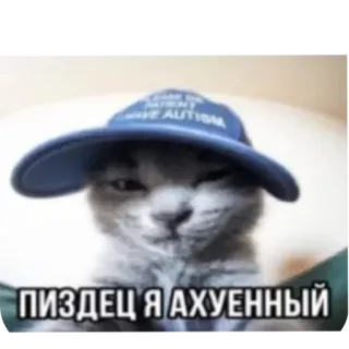 🎩 ПИЗДЕЦ Я АХУЕННЫЙ кот, шляпа, мем, смешно, животное telegram sticker