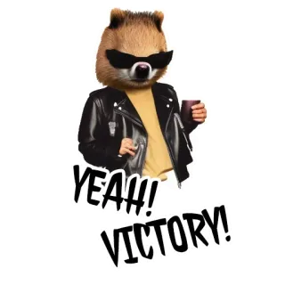 🎉 Yeah!! Victory! quokka, sunglasses, leather jacket, victory, yeah telegram sticker