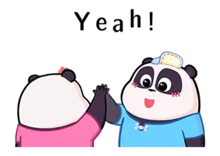 🐼 Panda, Animales, Choca esos cinco, Lindo, Dibujos animados whatsapp sticker