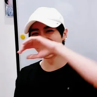 🐻 whatsapp sticker