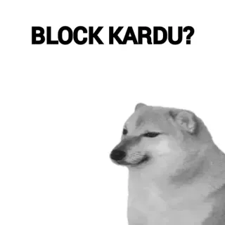 🤔 BLOCK KARDU? doge, dog, meme, block, kardu telegram sticker