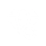 💎