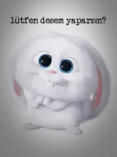 🙏 lütfen desem yaparsın? 토끼, 귀여운, 만화 whatsapp sticker