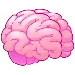 🎁 cerveau, anatomie, organe, système nerveux, santé, médical whatsapp sticker