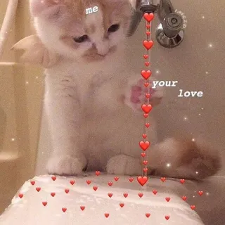 ❤️ me your love chat, amour, coeurs, relation, mignon, mème telegram sticker