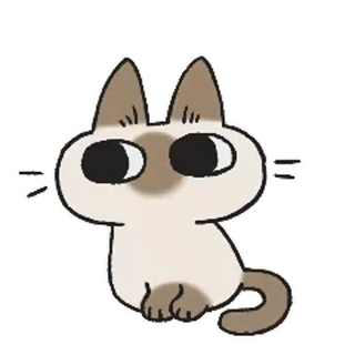 🙄 chat, animal, autocollant, mignon, siamois, chaton whatsapp sticker