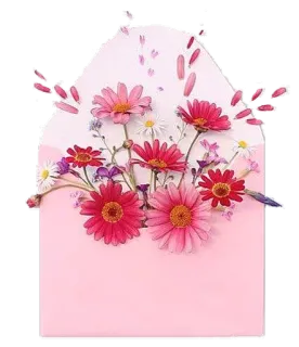 🌹 flowers, envelope, pink, floral, spring whatsapp sticker