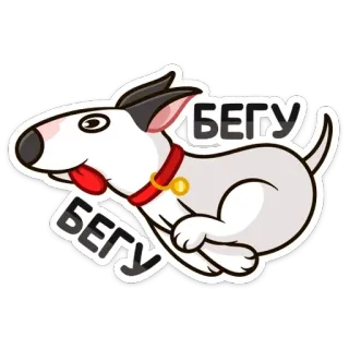 🏃‍♂️ БЕГУ собака, бег, мультфильм, животное, наклейка whatsapp sticker