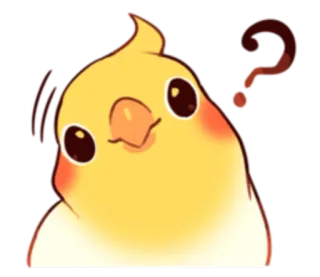 ❓ นก, ค็อกกาเทล, คำถาม, น่ารัก, สัตว์, คิด telegram sticker