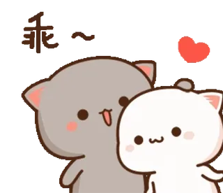 ❤️ 乖～ 귀여운, 고양이, 커플, 사랑, 애정 whatsapp sticker