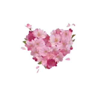 💜 หัวใจ, ดอกไม้, สีชมพู, ลายดอกไม้, ดอก, ความรัก, วาเลนไทน์ telegram sticker