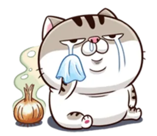😢 Katze, weinen, Zwiebel, traurig, Emoji, Sticker whatsapp sticker