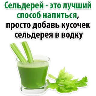 😊 Сельдерей - это лучший способ напиться, просто добавь кусочек сельдерея в водку aipo, vodka, bebida, álcool, engraçado, receita telegram sticker