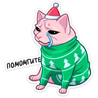 😢 ПОМОГИТЕ Katze, weinend, Weihnachten, Pullover, traurig, Meme, russisch, Hilfe whatsapp sticker