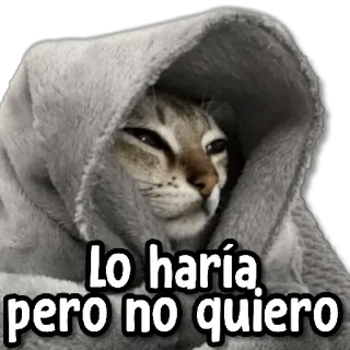 😐 Lo haría pero no quiero 猫, 毯子, 懒惰, 表情包, 困倦 whatsapp sticker