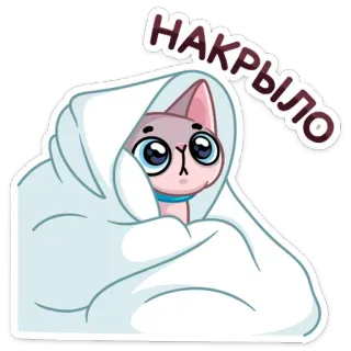 🙈 НАКРЫЛО gatto, coperta, cartone animato, carino, adesivo telegram sticker