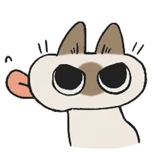 😝 chat, animal, drôle, mignon, animal de compagnie, siamois whatsapp sticker