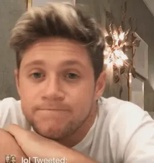 🎸 Niall Horan lol Tweeted: niall horan, celebridade, cantor, one direction telegram sticker