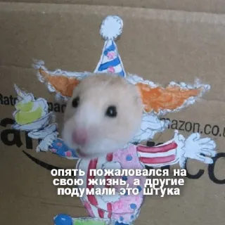 😁 опять пожаловался на свою жизнь, а другие подумали это штука แฮมสเตอร์, ตัวตลก, น่ารัก, สัตว์, ตลก telegram sticker