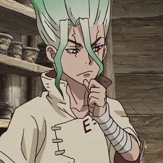 🌏 Senku Ishigami Dr. Stone anime, Dr. Stone, Senku, Ishigami, science, character telegram sticker