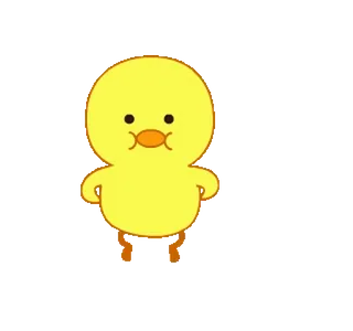 🐥 pato, amarelo, desenho animado, animal, fofo, pássaro telegram sticker