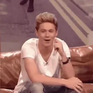 🥯 Niall Horan 尼尔·霍兰, 歌手, 名人, 人物, 男性, 单向乐队 telegram sticker