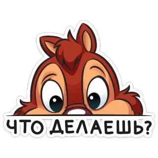 👀 ЧТО ДЕЛАЕШЬ? cartoon, chipmunk, peeking, question, russian telegram sticker