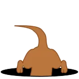 Meerkat Soren @picapicame telegram stickers