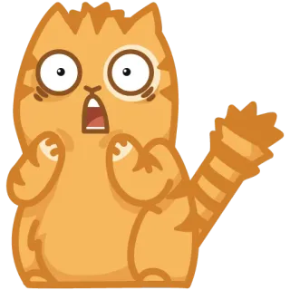 😱 cat, shocked, scared, surprised, orange, animal telegram sticker