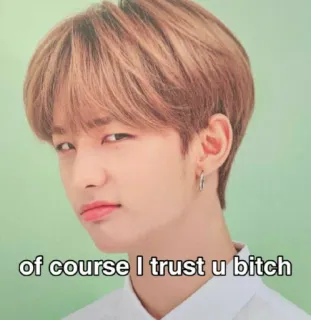 🤔 of course I trust u bitch beleidigend, Schimpfwort, Schlampe, Vertrauen, Meme, K-Pop whatsapp sticker