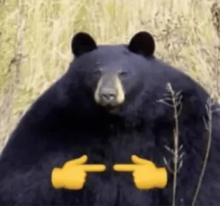 🥺 urso, animal, engraçado, meme, tímido, fofo telegram sticker