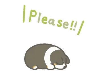 🥺 Please!!! anjing, lucu, sedih, memohon, permintaan, anak anjing, memohon telegram sticker