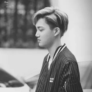 🗝 Kai kpop, นักร้อง, exo, ผู้ชาย, ขาวดำ telegram sticker