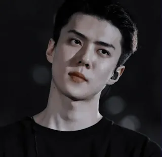 🗝 portrait, man, celebrity, kpop, singer telegram sticker