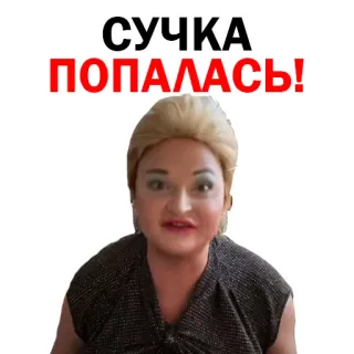 🙈 СУЧКА ПОПАЛАСЬ! woman, angry, meme, russian, offensive telegram sticker