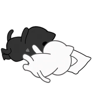 ❤️ kat, dieren, slapen, zwart wit, schattig, sticker telegram sticker