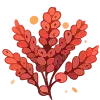 🌺