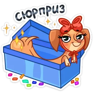 🎁 СЮРПРИЗ anjing, kejutan, imut, binatang, kotak, dachshund telegram sticker
