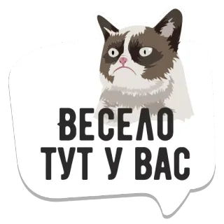 мемы рунета telegram stickers