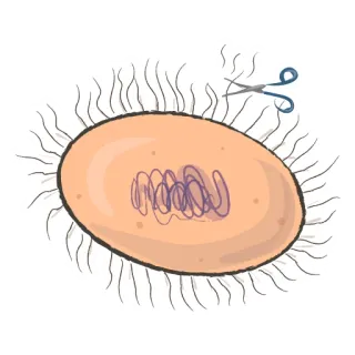 Unicellular stickers telegram stickers