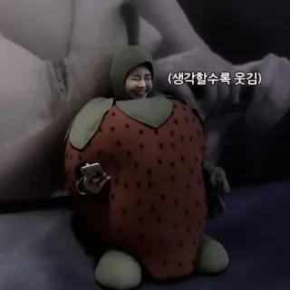 🍓 생각할수록 웃김 草莓, 服装, 人, 水果, 韩国 telegram sticker