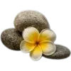 🥥