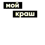 ❤️ мой краш tekst, zin, russisch telegram sticker