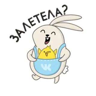 😁 ЗАЛЕТЕЛА? kelinci, ayam, stiker, kartun, binatang, lucu telegram sticker