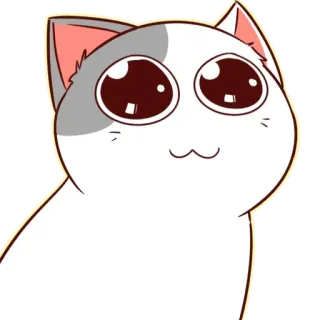 🐈 猫, 可爱, 卡哇伊, 动物, 卡通, 贴纸, 宠物 whatsapp sticker