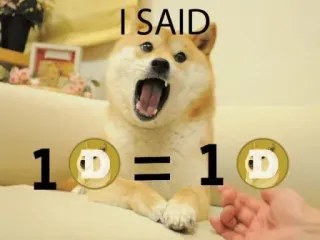 🚀 Doge I SAID 1D = 1D doge, Hund, Meme, Kryptowährung, Währung, lustig telegram sticker