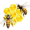 🐝