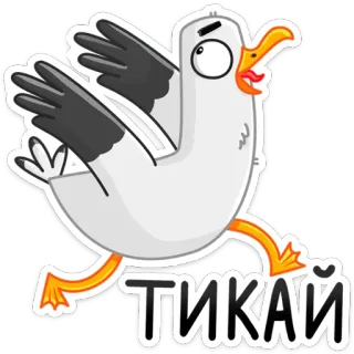😤 TIKAЙ pássaro, gaivota, corrida, texto, adesivo, TIKAЙ telegram sticker
